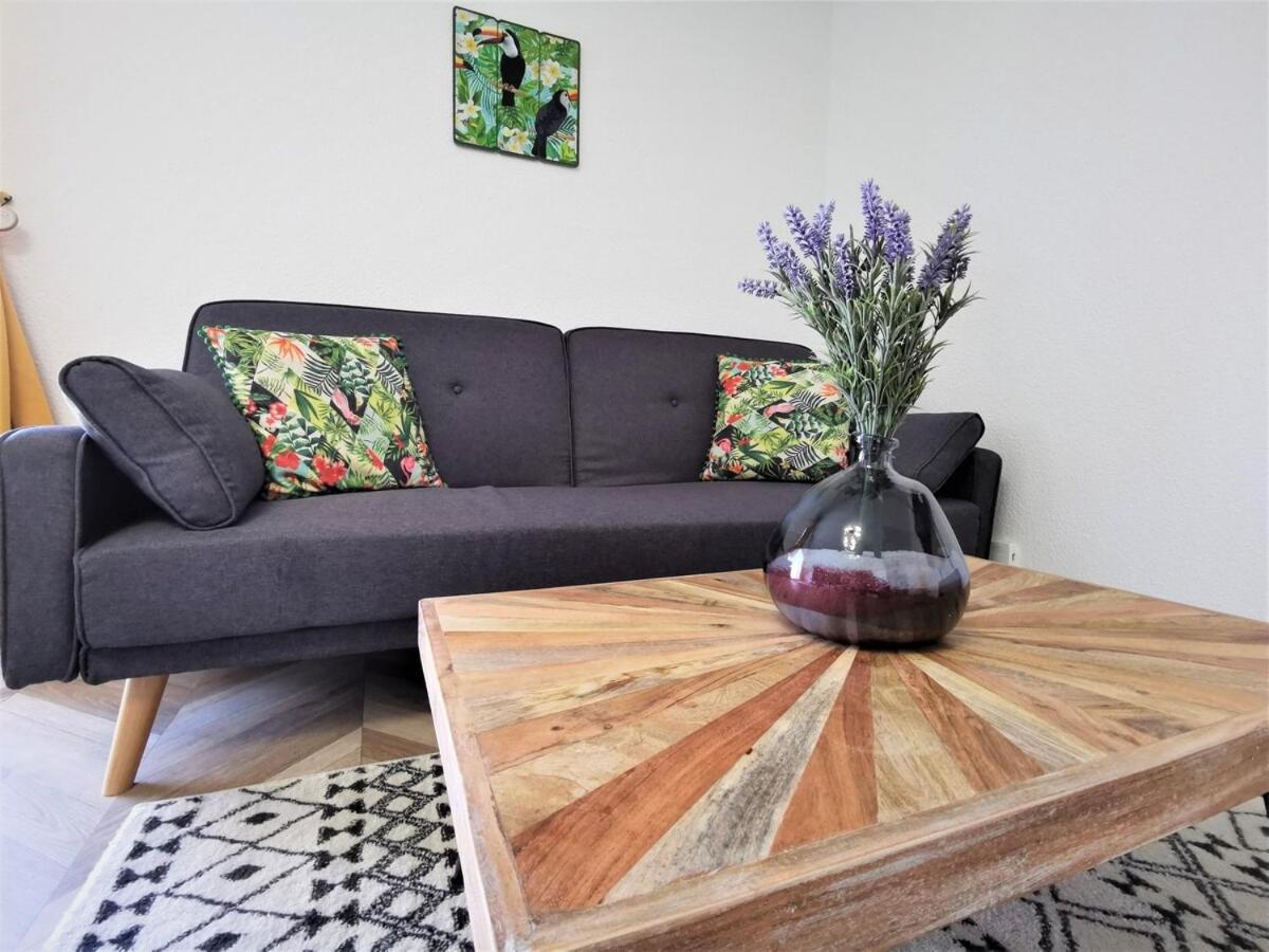 T2 Cosy ₪ Residence Securise ₪ Airbus ₪ Piscine Colomiers Dış mekan fotoğraf